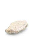 Hakiki Doğal Belemnit Fosili Kaya Parçası 297 Gram - 4