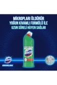 Domestos Çamaşır Suyu Dağ Esintisi 750 ml X 3 Mikrofiber Bez 1 Adet thumbnail 3