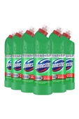 Domestos Çamaşır Suyu Dağ Esintisi 750 ml X 6 Sünger 1 Adet thumbnail 2