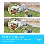 TP-LINK Tapo C420S1 Akıllı Kablosuz Güvenlik Kamerası Sistemi, 1 Kameralı Sistem - 3