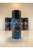 Ebrayn Oto Parfümü Cool 150ml - 3