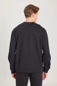 Wrangler Regular Fit Normal Kesim %100 Pamuk Sıfır Yaka Sweatshirt - 6