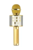 Evervox Karaoke Mikrofon Gold - 1