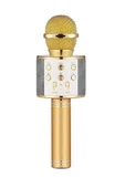 FİOPLUS Karaoke Bluetooth Mikrofon Hoparlörlü Usb Flash Destekli Ws-858 - 1