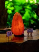 Himalaya Kaya Tuz Lambası 2-3kg Özdede Shop - 3