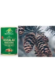 Kozalak Macunu Çam Kozalağı Macun 240 Gr. (2 ADET) - 3
