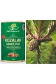 Kozalak Macunu Çam Kozalağı Macun 240 Gr. (3 ADET) - 4