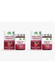 Aserola Prebiyotik-probiyotik Acerola Bağırsak Temizleme Kürü 240 gr Colon Macun ( 2 Adet ) - 2
