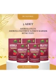 5 Adet Aserola Plus Acerola Ekstresi Içeren Karışık Bitki Tozu 150 Gr. - 1