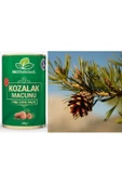 Kozalak Macunu Çam Kozalağı Macun 240 Gr. - 5