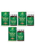 Kozalak Macunu Çam Kozalağı Macun 240 Gr. (3 ADET) - 2