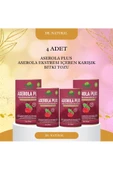 Aserola Plus Barbados Kirazı Ekstresi İçeren Karışık Bitki Tozu (4 Adet) - 1