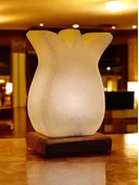 Çankırı Kaya Tuzu Lale Lamba 2-3kg Özdede Shop - 1