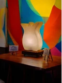 Çankırı Kaya Tuzu Lale Lamba 2-3kg Özdede Shop - 4