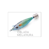 DTD BALLISTIC REAL FISH 3.0B  9 CM 14.2 GR OBLADA MELANURA - 1