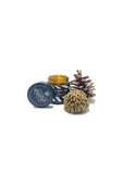 GURUYEMİŞ BOX 3 Nota Hediyelik Mum Soy Wax Candle Doğal Soya Mum Amber Şişe 90gr - 1