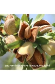 Badem Kabuklu Badem - 2