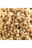 REFA GIDA Dut Kurusu 250gr - 2