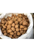 kayalı organik Kabuklu Ceviz 1 Kg - 2
