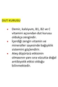 Tuğba Kuruyemiş Dut Kurusu 250 gr thumbnail 2