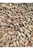 kayalı organik Kabuklu Badem 1 Kg (Kayalı Organik) - 1