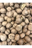 Erzurum İpekgurme Ispir Kabuklu Ceviz 1kg - 2