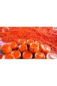 Erzurum İpekgurme Erzurum İpek Gurme Kuşburnu Kurusu 1 KG İPKG 4687 - 5