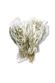 GURUYEMİŞ BOX 5li Adaçayı 50-60gr 5 Demet Sage Bitki Çayı - 1