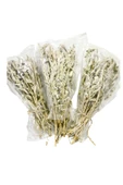 GURUYEMİŞ BOX 3lü Adaçayı 50-60gr Üç Demet Sage Bitki Çayı - 2