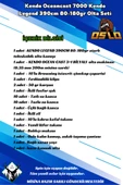 Kendo Oceancast 7000 Kendo Legend 390cm 80-180gr Olta Seti - 2