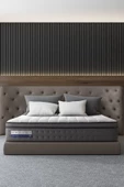 Sleeptown Latex 7 Zone Premium Pocket Yaylı Ortopedik Yatak Çift Kişilik 200x200 cm - 1