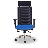 BlueSit Yönetici Koltuğu - 1