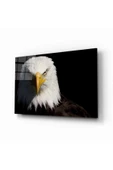 AlpiLeo Kartal 7 Hayvan Alp Özel Cam Tablo thumbnail 1
