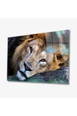 AlpiLeo Aslan Hayvan Alp Özel Cam Tablo 4mm Dayanıklı Temperli Cam thumbnail 1