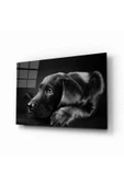 AlpiLeo Köpek 8 Hayvan Alp Özel Cam Tablo thumbnail 1