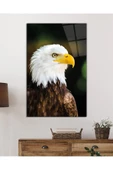 AlpiLeo Kartal Hayvan Portresi Alp Özel Cam Tablo, Ev Ve Ofis Duvar Dekoru thumbnail 2