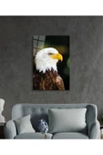 AlpiLeo Kartal Hayvan Portresi Alp Özel Cam Tablo, Ev Ve Ofis Duvar Dekoru thumbnail 3
