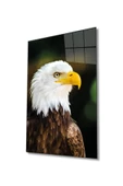 AlpiLeo Kartal Hayvan Portresi Alp Özel Cam Tablo, Ev Ve Ofis Duvar Dekoru thumbnail 1