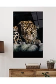 AlpiLeo Kaplan Hayvan Portresi Alp Özel Cam Tablo, Ev Ve Ofis Duvar Dekoru thumbnail 2