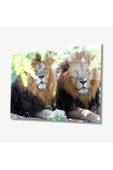 AlpiLeo Aslan Hayvan Alp Özel Cam Tablo 4mm Dayanıklı Temperli Cam thumbnail 1