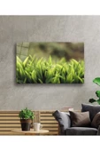 AlpiLeo Yeşil Yapraklar Alp Özel Cam Tablo, Ev Ve Ofis Duvar Dekoru thumbnail 2