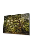 AlpiLeo Ağaç Orman Güneş Yeşil Alp Özel Cam Tablo, Ev Ve Ofis Duvar Dekoru thumbnail 1