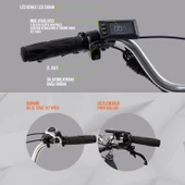 Strada E-VIBE Hidrolik Disk Üç Tekerlekli Elektrikli Bisiklet - 6
