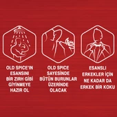 Old Spice Duş Jeli 400 ml + Sprey Deo White Water 150 ml x 2 - 8