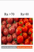 Panasonic 4,9W (40W) Led Mum Ampul Beyaz 6500K - E14 6 Adet Avize Lambası - 7