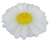 MUM PAPATYA ASETAT KUTULU BEYAZ 1 ADET thumbnail 2