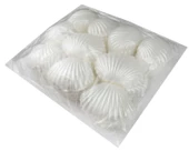 KUTU İSTİRİDYE İNCİ PLASTİK SEDEF 1 ADET - 6