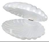 KUTU İSTİRİDYE İNCİ PLASTİK SEDEF 1 ADET - 4