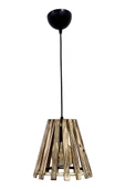 Siyah Boyalı Tekli Avize PLC-1220-AV-BSY - 1