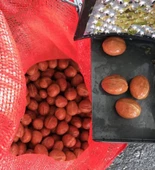 Muratti Yaş Ceviz Kabuk Soyma Makinası 80LT - 3